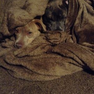 Meet your Posher, Ann